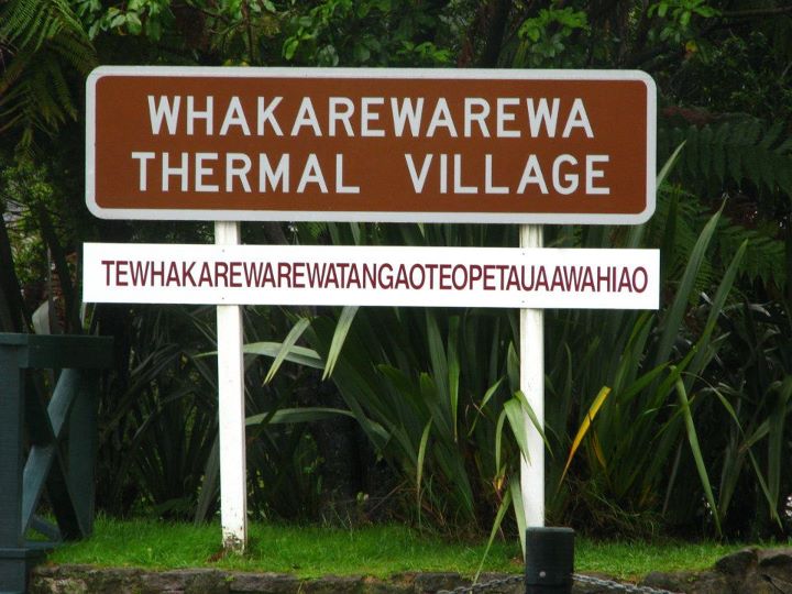 Whakarewarewa 044