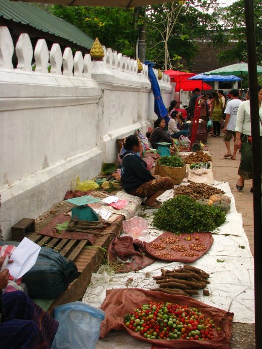 Laos 054