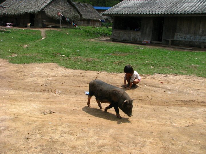 Laos 133